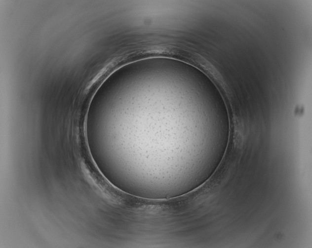 X0000113330482200909211223