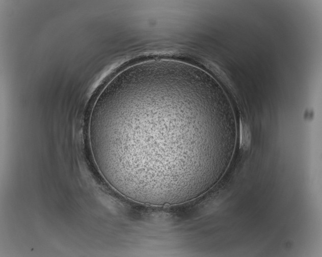 X0000113330483200909211223
