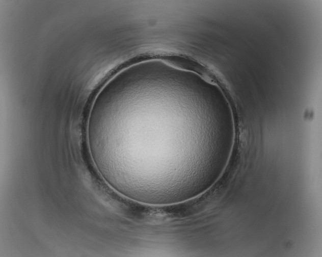 X0000113330487200909211223