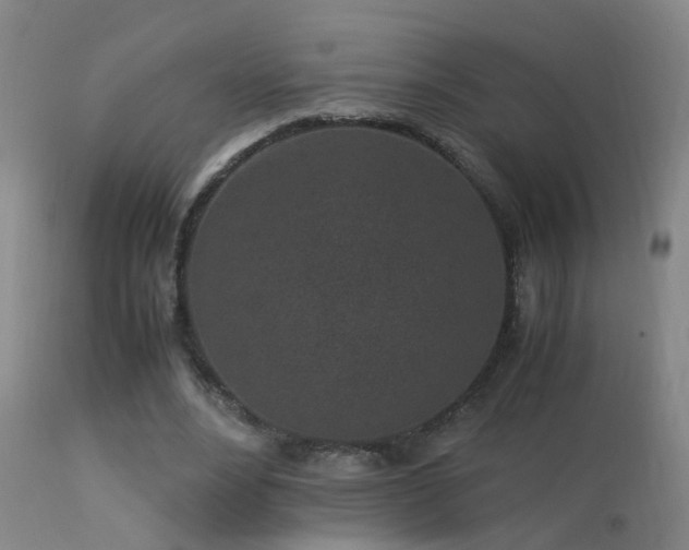 X0000113330488200909211223