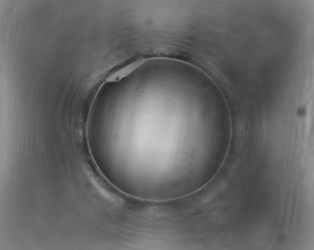 X0000113330489200909211223