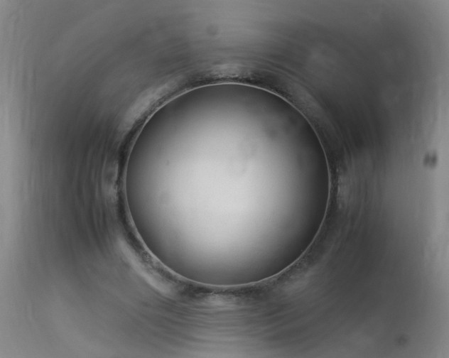 X0000113330490200909211223