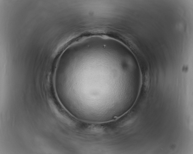 X0000113330491200909211223