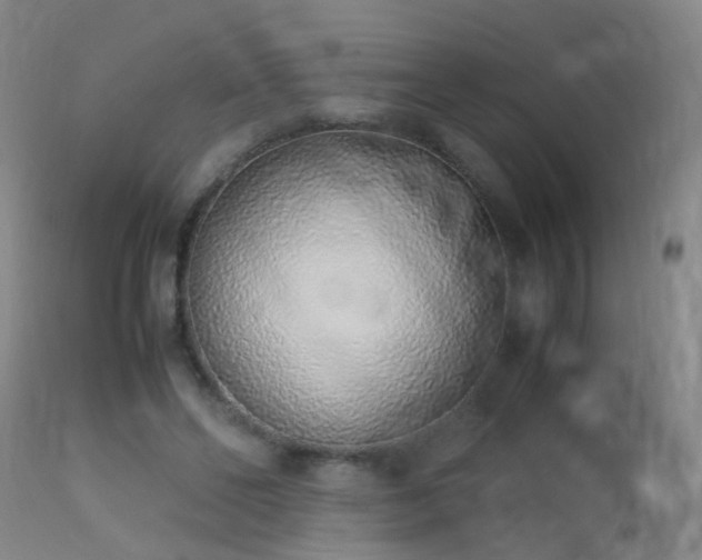 X0000113330494200909211223