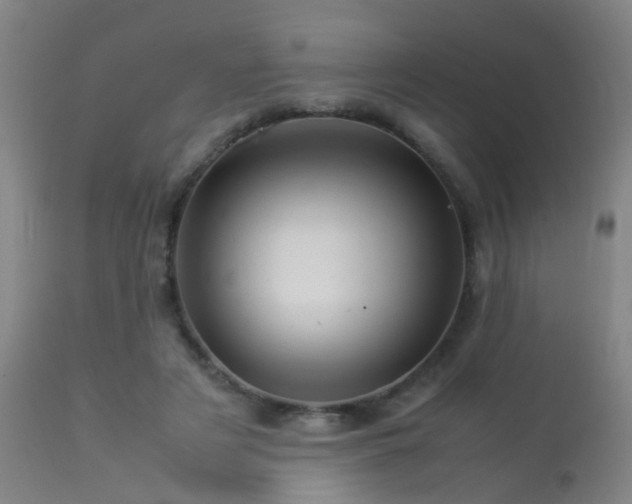 X0000113330497200909211223