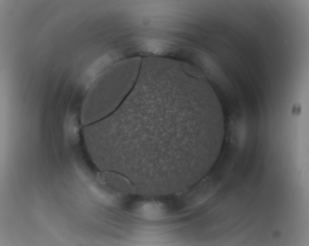 X0000113330500200909211223