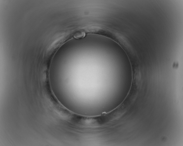 X0000113330501200909211223