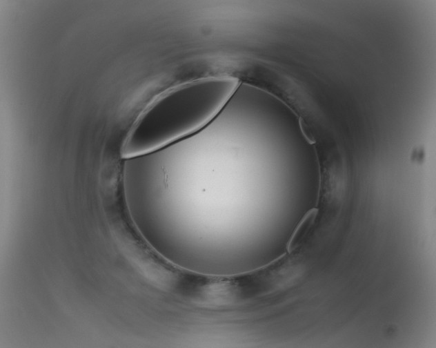 X0000113330505200909211223