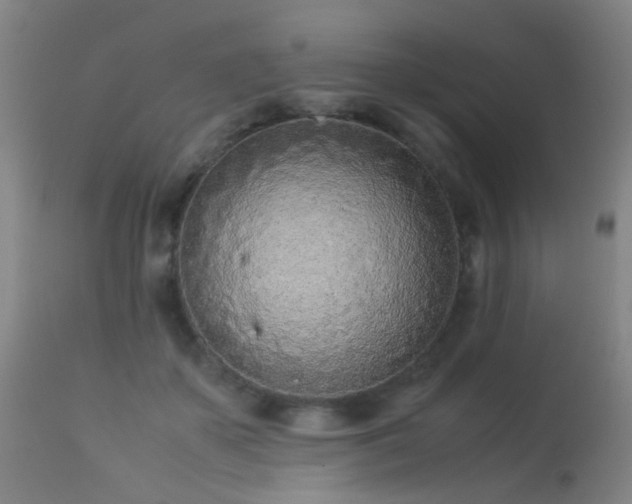 X0000113330507200909211223