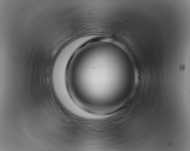 X0000113330508200909211223