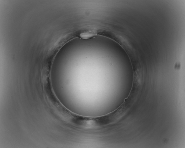 X0000113330509200909211223