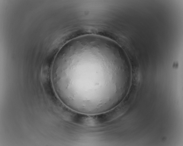 X0000113330511200909211223