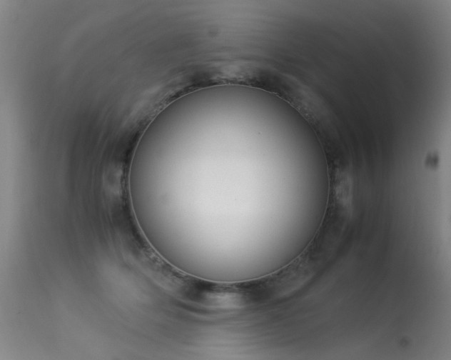 X0000113330514200909211223