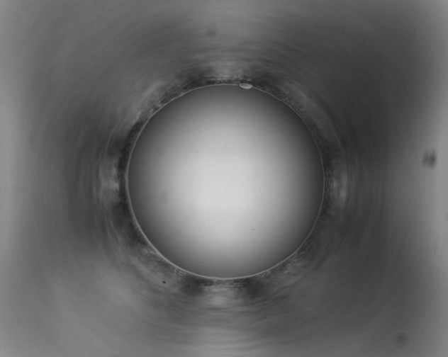 X0000113330516200909211223