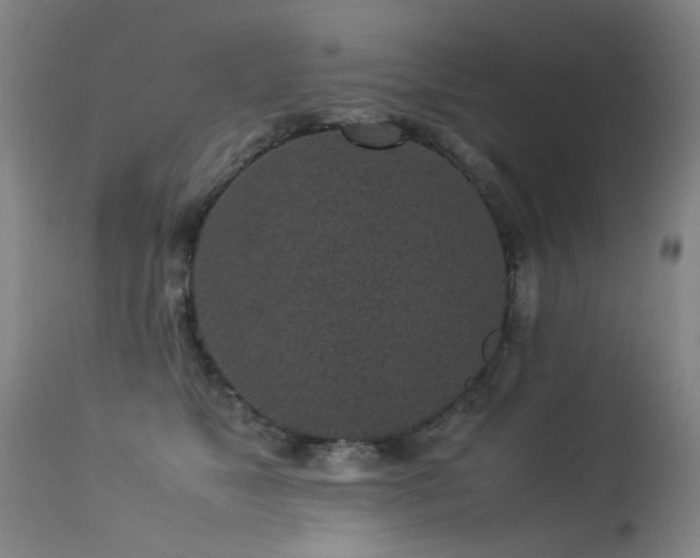 X0000113330517200909211223