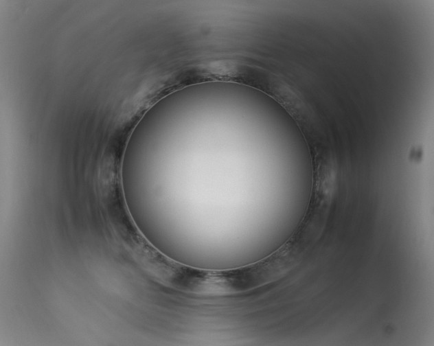 X0000113330518200909211223
