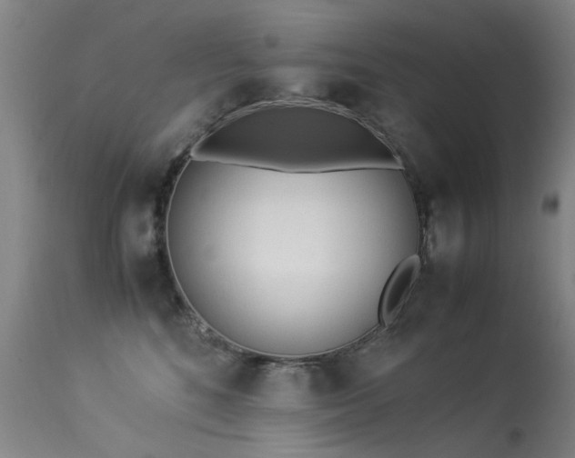 X0000113330520200909211223