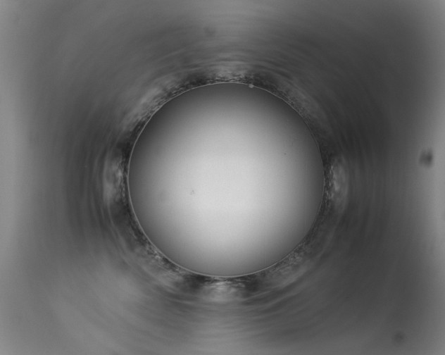 X0000113330522200909211223