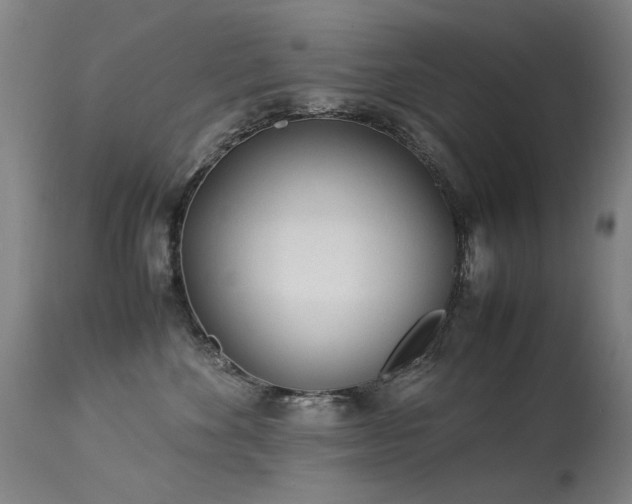 X0000113330524200909211223
