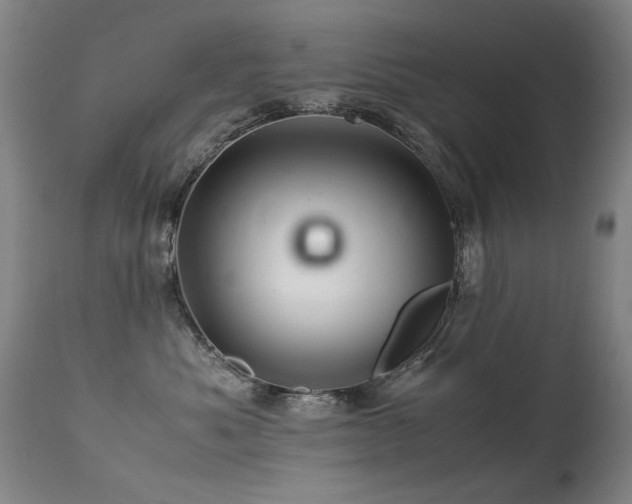 X0000113330525200909211223