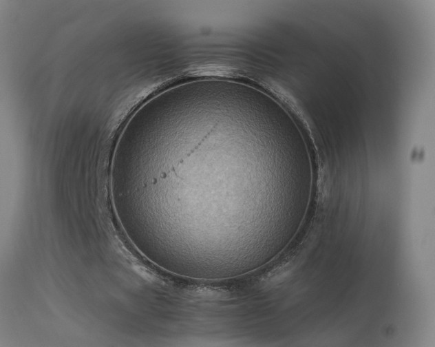 X0000113330529200909211222