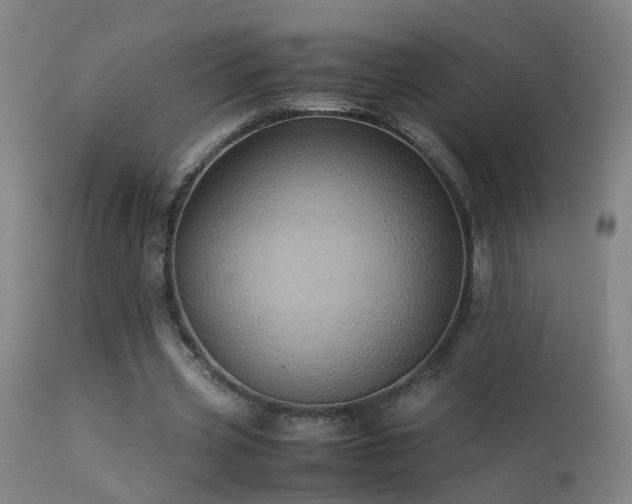 X0000113330533200909211222