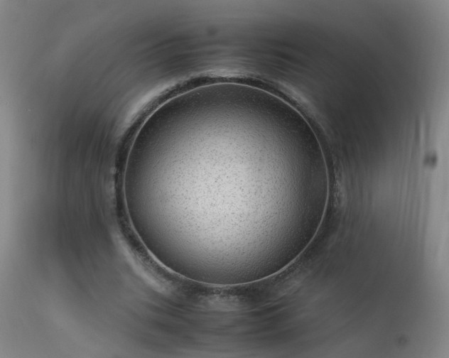 X0000113330535200909211222