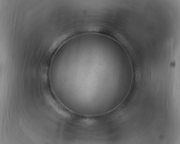 X0000113330537200909211222