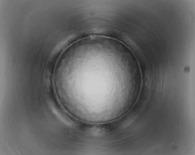 X0000113330542200909211222