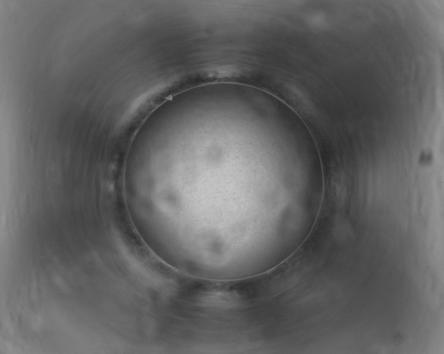 X0000113330543200909211222
