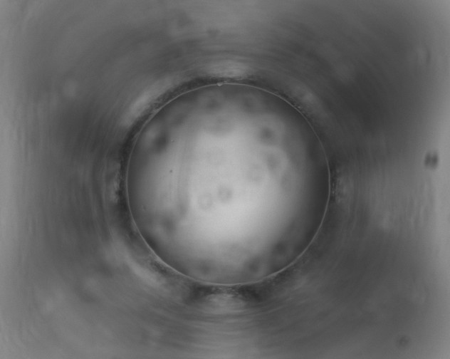 X0000113330544200909211222