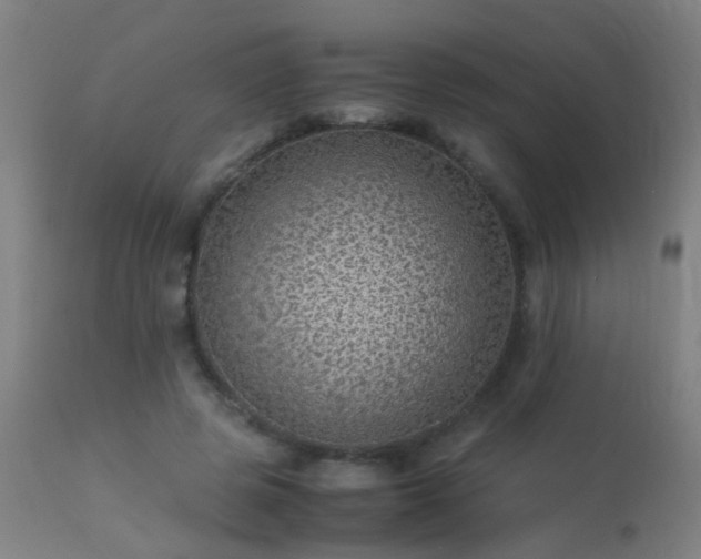 X0000113330545200909211222