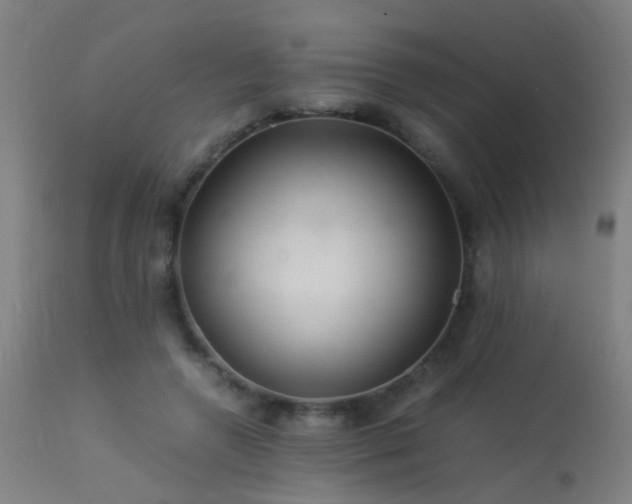 X0000113330546200909211222
