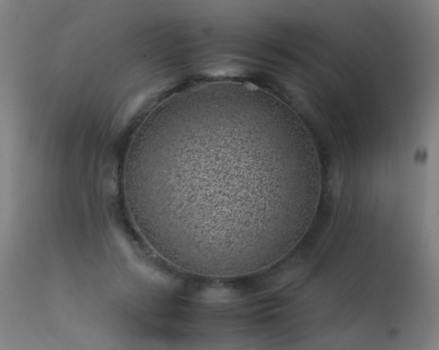 X0000113330547200909211222