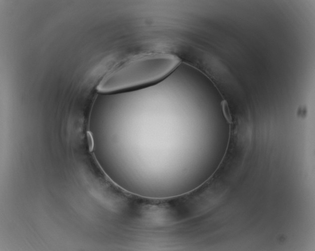 X0000113330548200909211222