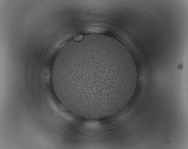 X0000113330551200909211222