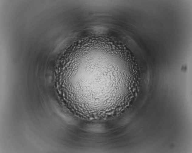 X0000113330553200909211222