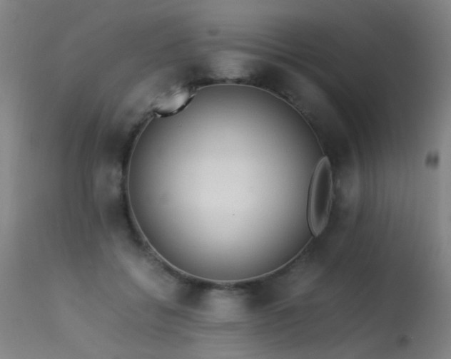 X0000113330556200909211222