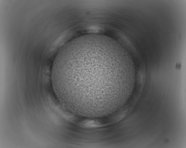 X0000113330557200909211222