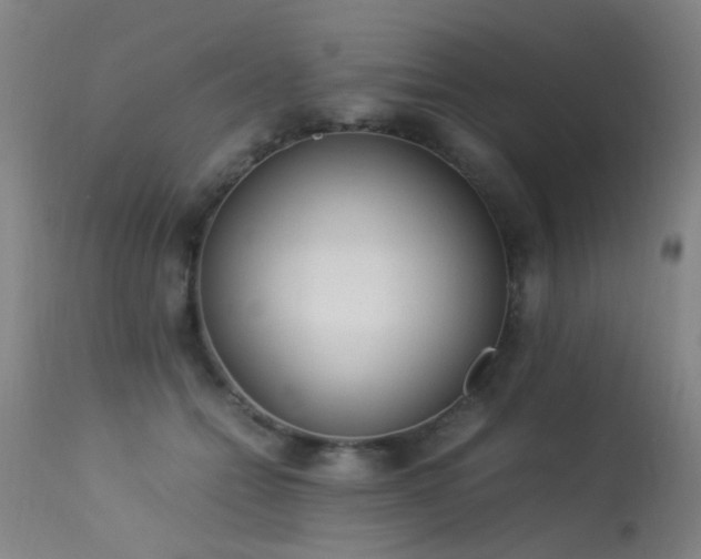 X0000113330558200909211222