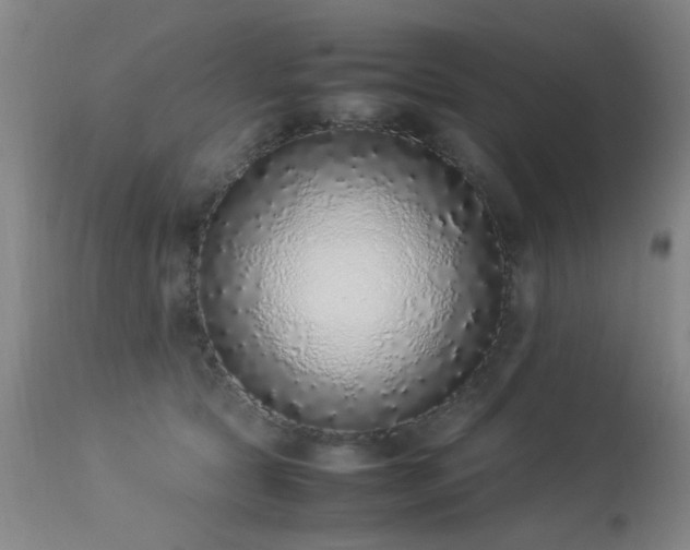 X0000113330561200909211222