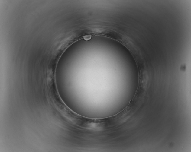 X0000113330563200909211222