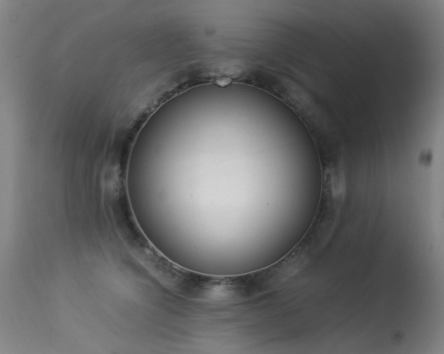 X0000113330564200909211222