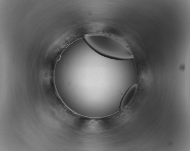 X0000113330566200909211222