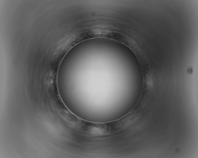 X0000113330567200909211222
