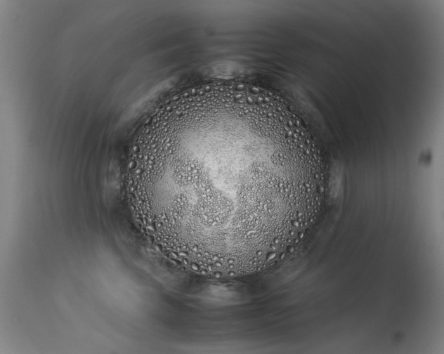 X0000113330569200909211222