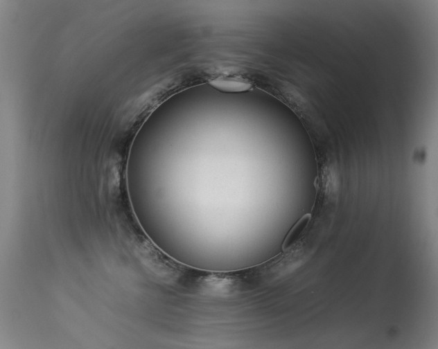 X0000113330570200909211222