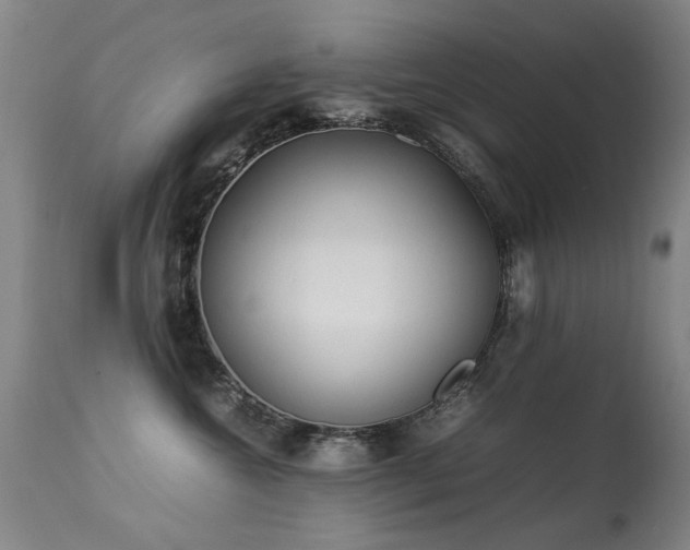 X0000113330572200909211223