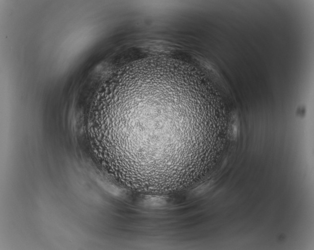 X0000113330573200909211223