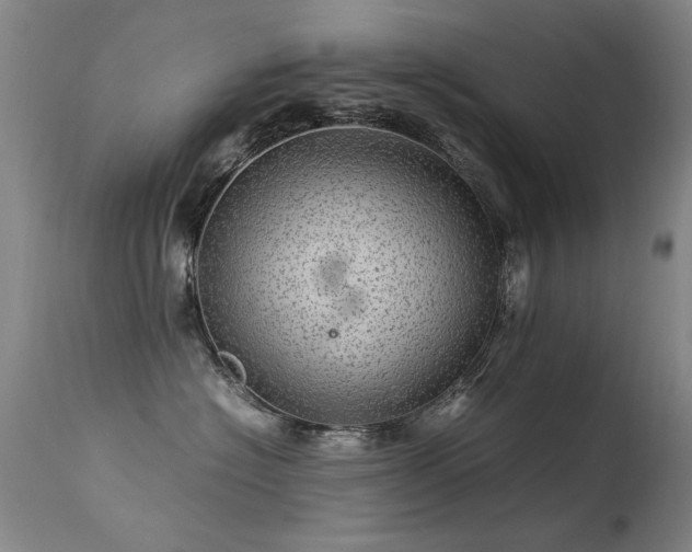 X0000113330574200909211223